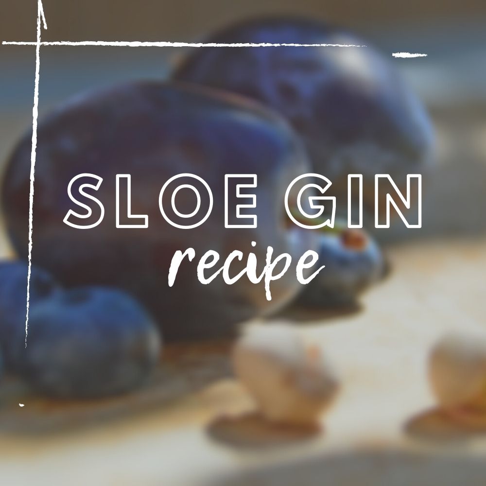 Sloe Gin Recipe