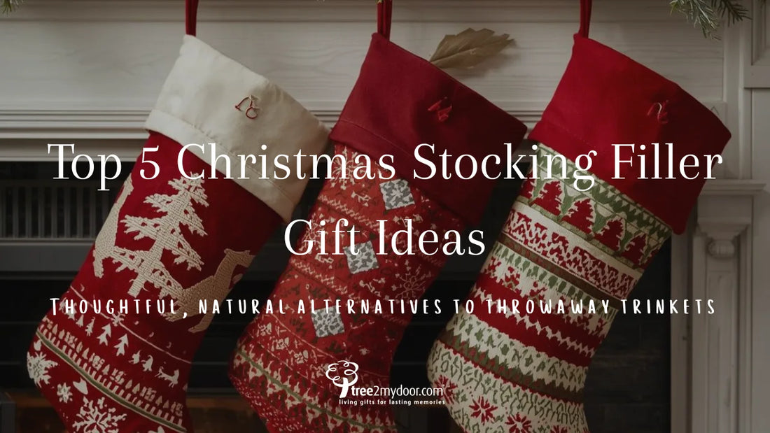 Top 5 Christmas Stocking Filler Gift Ideas