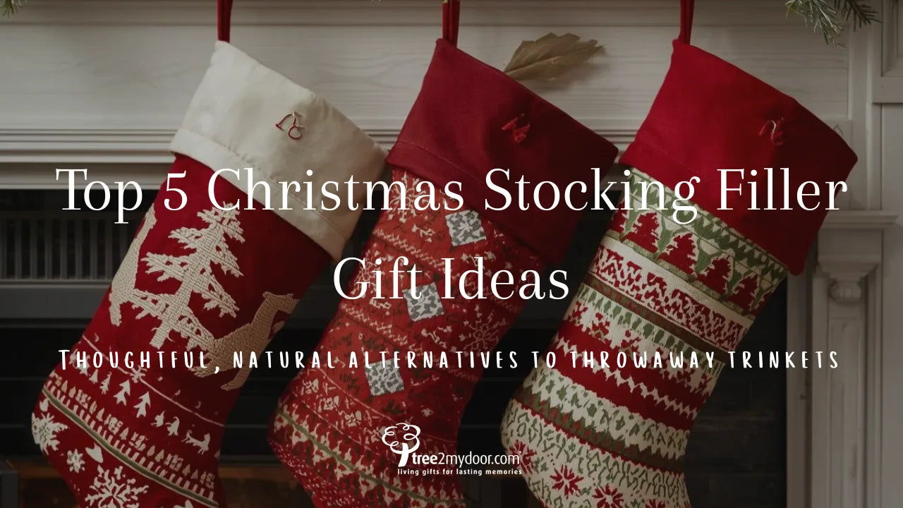 Top 5 Christmas Stocking Filler Gift Ideas