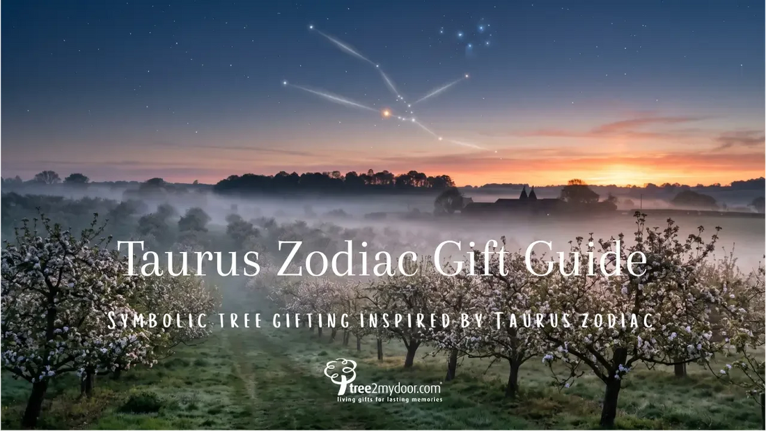 Taurus Gift Guide