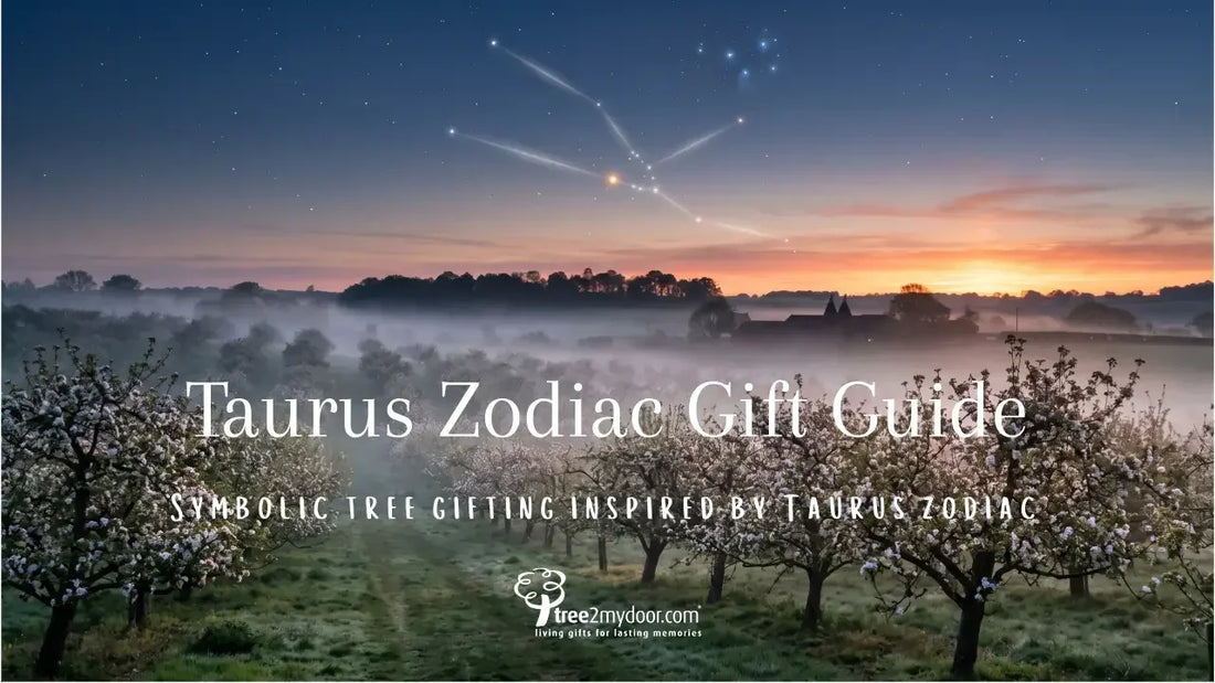 The Taurus Gift Guide