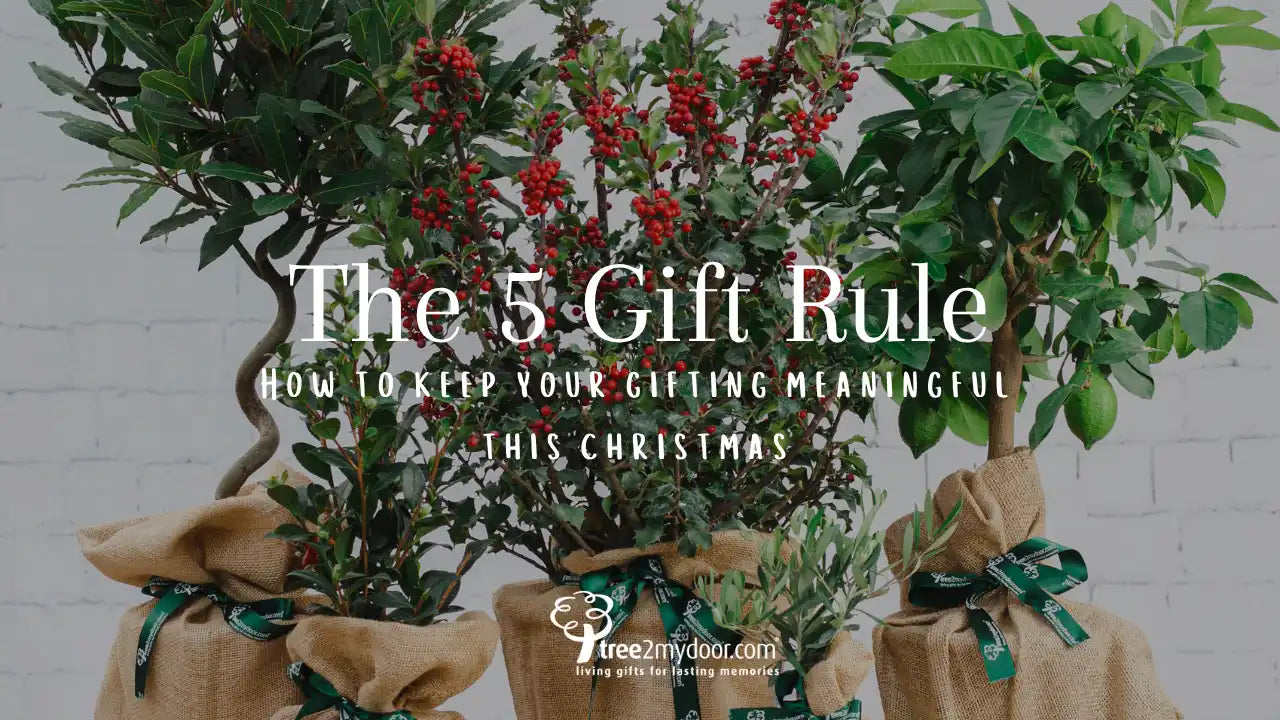 The Christmas 5 Gift Rule