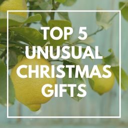 Top 5 Unusual Christmas Gifts