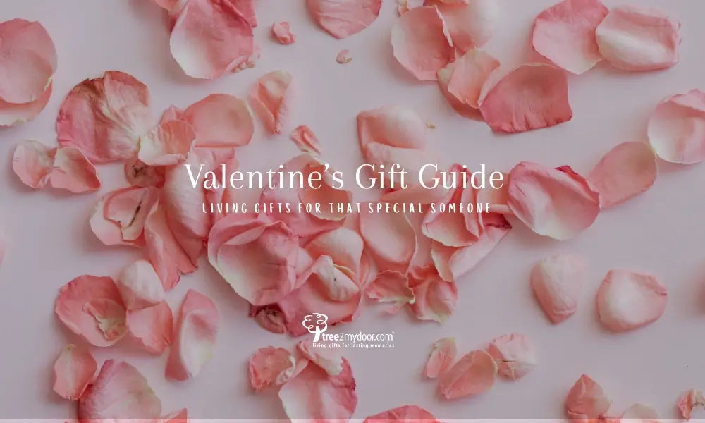 Valentine's Gift Guide on a background of pink petals