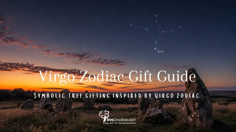 Virgo Gift Guide: Thoughtful Living Gifts for the Virgo in Your Life