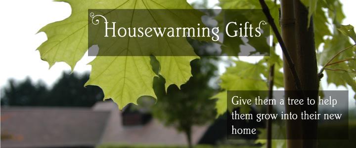 Housewarming Tree Gifts - Tree2mydoor