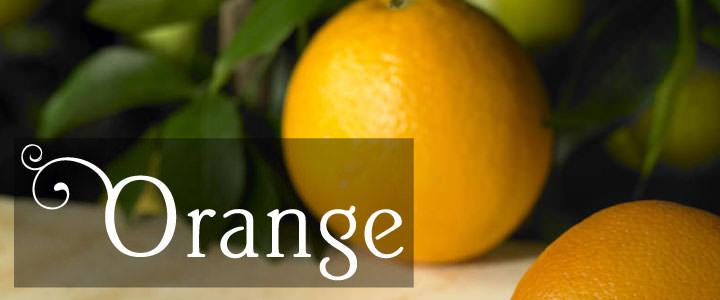 Orange Coloured Tree & Plant Gifts - Tree2mydoor