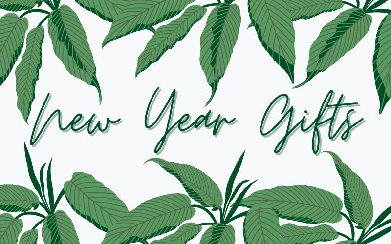 New Year Gifts - Tree2mydoor