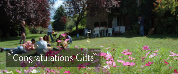 Congratulations Gifts - Tree2mydoor