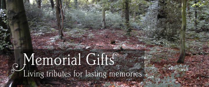 Memorial Gifts - Tree2mydoor