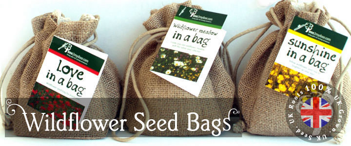 Wildflower Seed Bags
