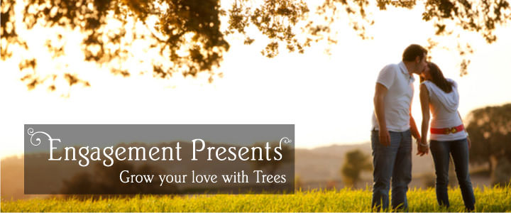 Engagement Tree Gifts - Tree2mydoor