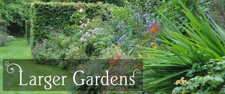 Gifts for Large Gardens - Tree2mydoor