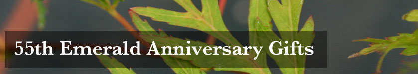 55th Wedding Anniversary Gifts - Tree2mydoor