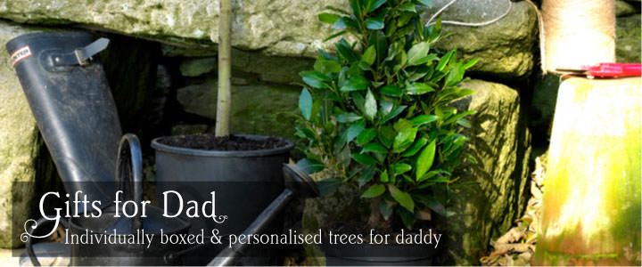 Personalised Tree Gifts for Father
