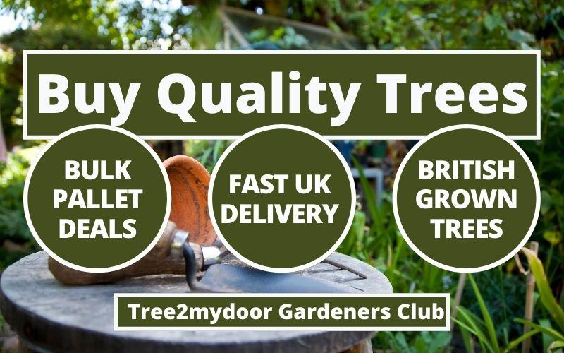 Buy Trees and Hedging - Tree2mydoor Gardeners Club