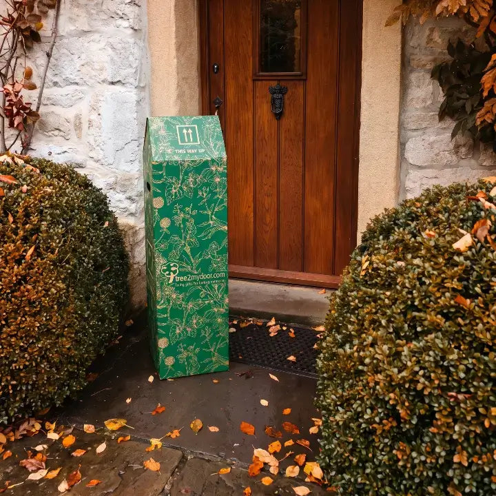A Tree2MyDoor gift box has just been delivered on a cottage doorstep surrounded by Autumn trees.