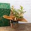 Pink Blueberry Plant Gift with gift box