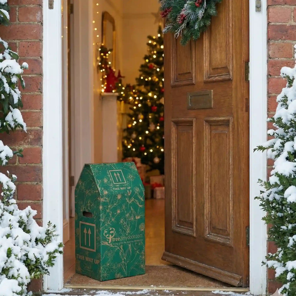 A Tree2mydoor branded gift box placed on the front door mat of a home decorated for Christmas.