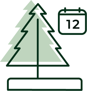 This is an evergreen plant icon