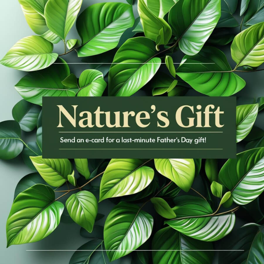 Send an e-gift card for Fathers Day