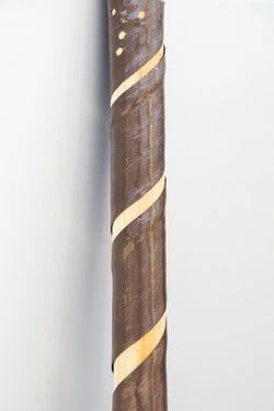 A tree stake and guard to support growing trees.