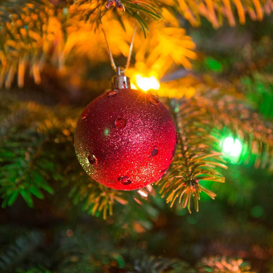 7ft Nordmann Fir Cut Christmas Tree No Stand - Christmas Tree Gift - Tree2mydoor