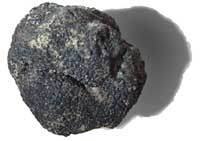 UK Native Truffle