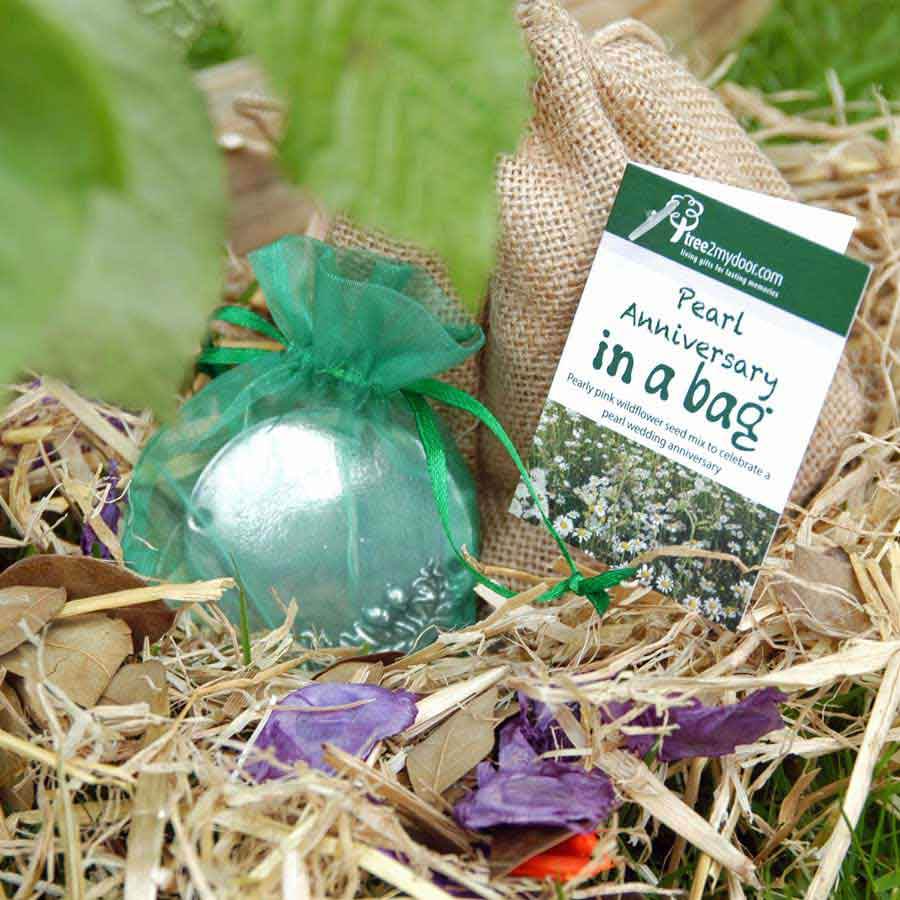 Pearl Wedding Anniversary Tree Gift Pack Plaque - No Engraved Message - Tree Gift Pack - Tree2mydoor