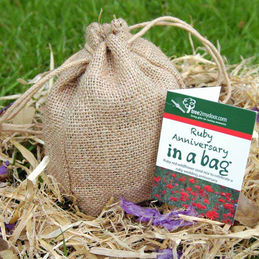 Ruby Anniversary Rose and Seed Gift Set - Rose Gift Pack - Tree2mydoor