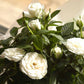Paper Wedding Indoor Rose Blooms