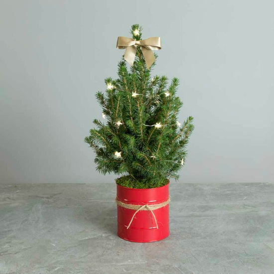 Tabletop Christmas Tree