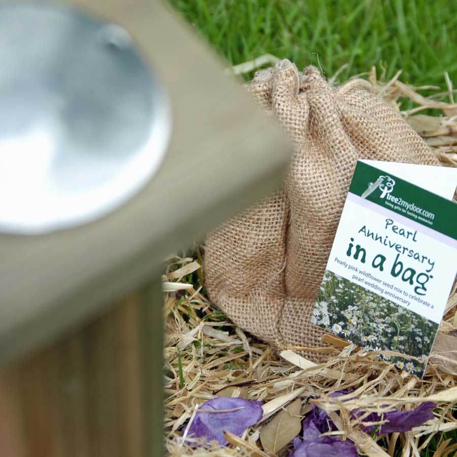 Pearl Anniversary Rose and Plaque Gift Pack Plaque - No Engraved Message - Rose Gift Pack - Tree2mydoor