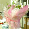 Promotional Roses - Gift Wrapped