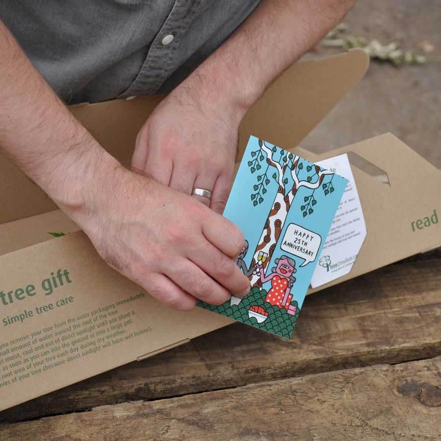 25th Wedding Anniversary Gift Pack Plaque - No Engraving - Tree Gift Pack - Tree2mydoor