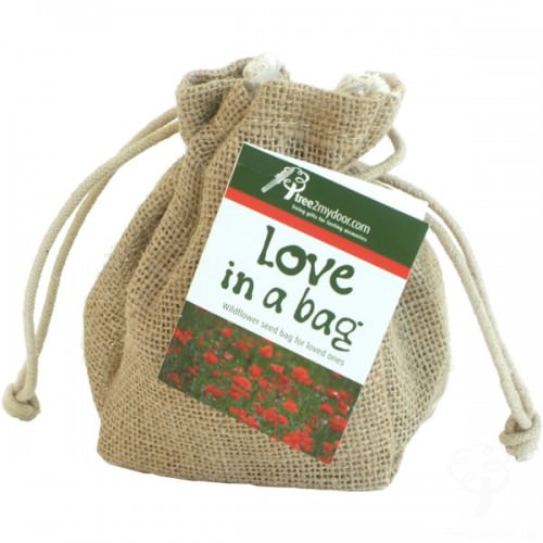 Love in a Bag Wildflowers