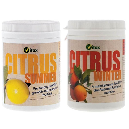 Annual Citrus Tree Feed - Fertiliser - Tree2mydoor