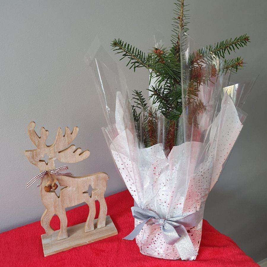 Baby’s 1st Christmas Tree Gift - Christmas Tree Gift - Tree2mydoor