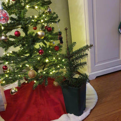 Baby’s 1st Christmas Tree Gift - Christmas Tree Gift - Tree2mydoor