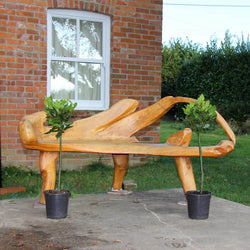 Pair of Bay Tree Gifts Small (2.5L pot, 50cm height) - Bay Tree Gift - Tree2mydoor