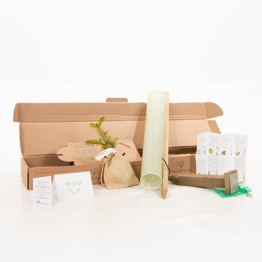 Birthday Tree Gift Pack Beech Tree / Plaque - No Engraved Message - Tree Gift Pack - Tree2mydoor