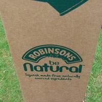 Promo Trees in Triangle Gift Boxes - Tree2mydoor Business - Tree2mydoor