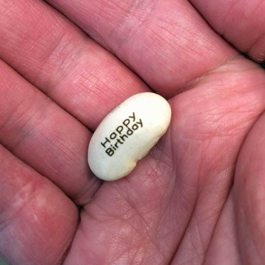 Branded Message Beans - Tree2mydoor Business - Tree2mydoor