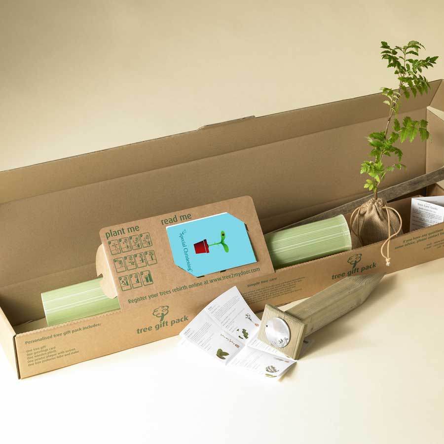 Christening Tree Gift Pack Wild Cherry Tree / Plaque - No Engraved Message - Tree Gift Pack - Tree2mydoor