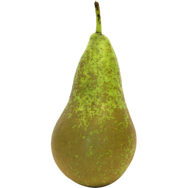Conference Pears