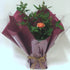 Coral 35th Wedding Anniversary Patio Rose Gift