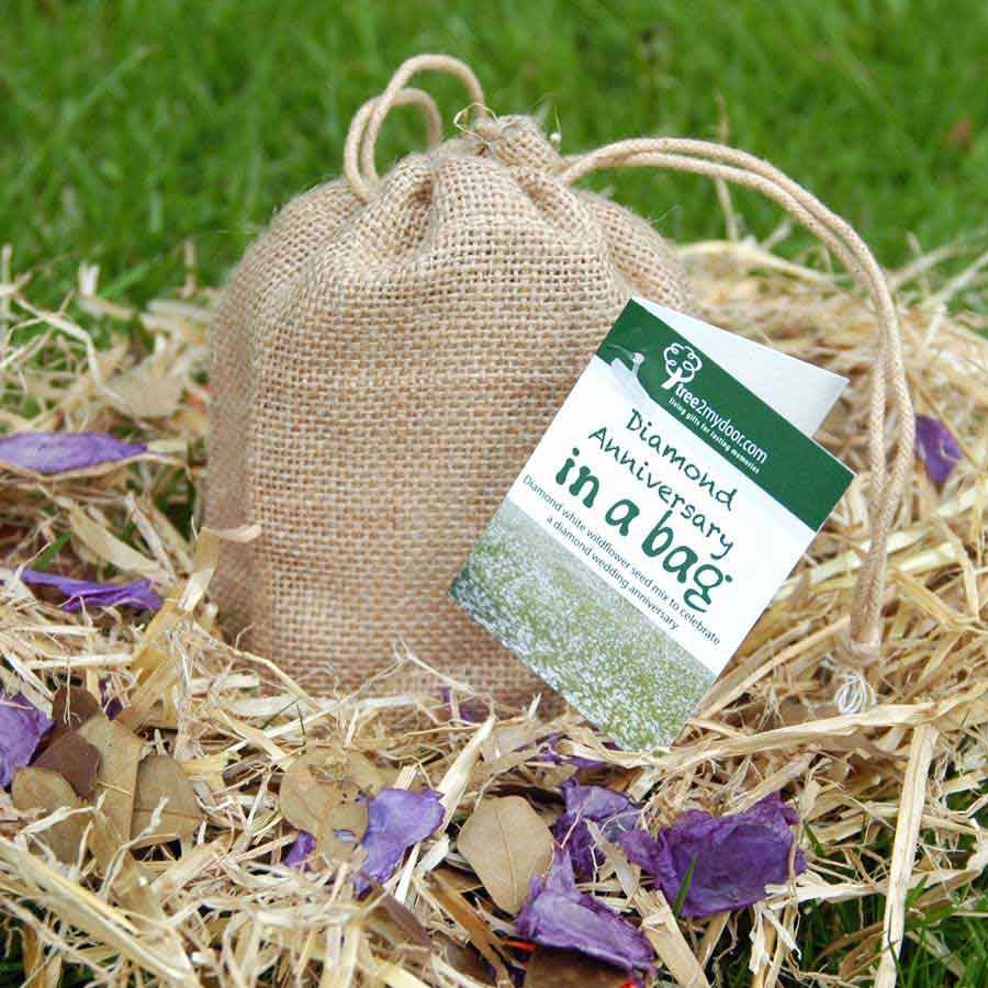 Diamond Wedding Anniversary Tree Gift Pack Plaque - No Engraved Message - Tree Gift Pack - Tree2mydoor