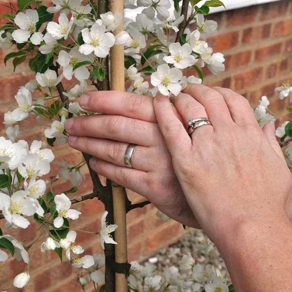 Wedding Bouquet Tree 1.5m