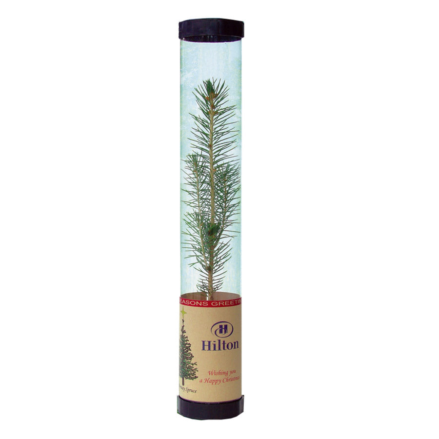 Promotional trees in tubes