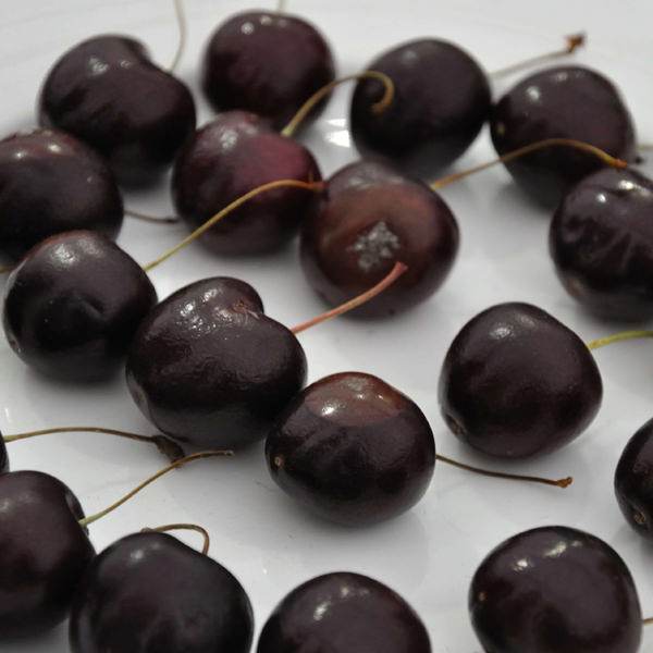 Sunburst Cherry Tree Gift - Fruit Tree Gift - Tree2mydoor